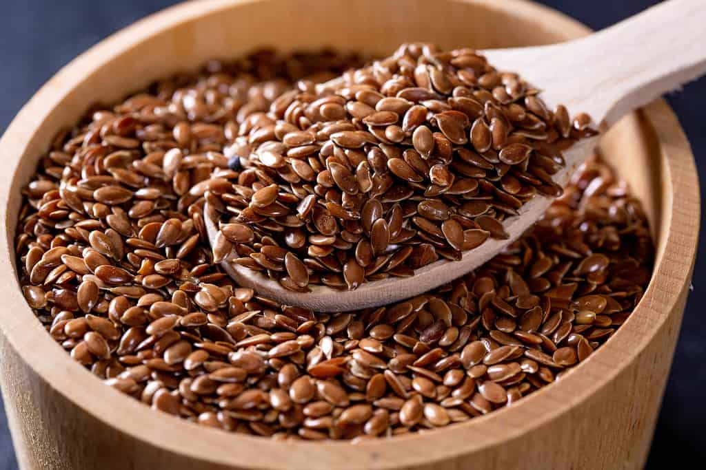 8 Reasons to Eat Flax Seeds