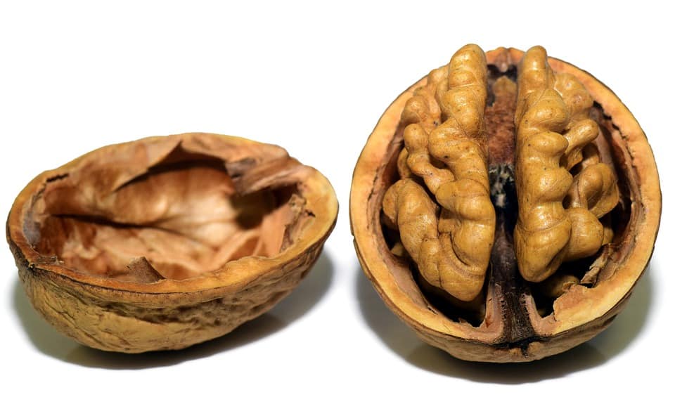 Why nuts are so valuable
