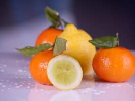 Vitamin C prevents the body from aging