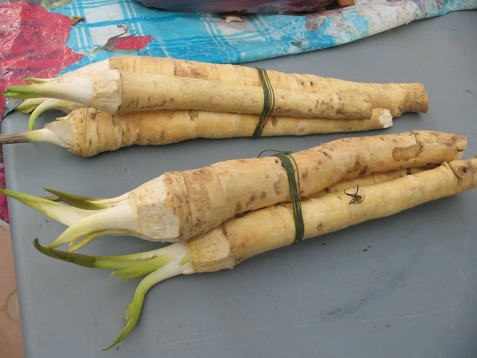 Horseradish, food and medicine
