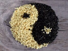 Sesame seeds source of vegetable protein