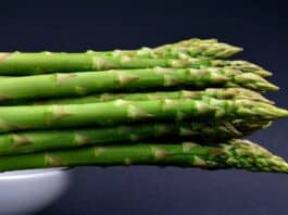 Asparagus vegetables of spring