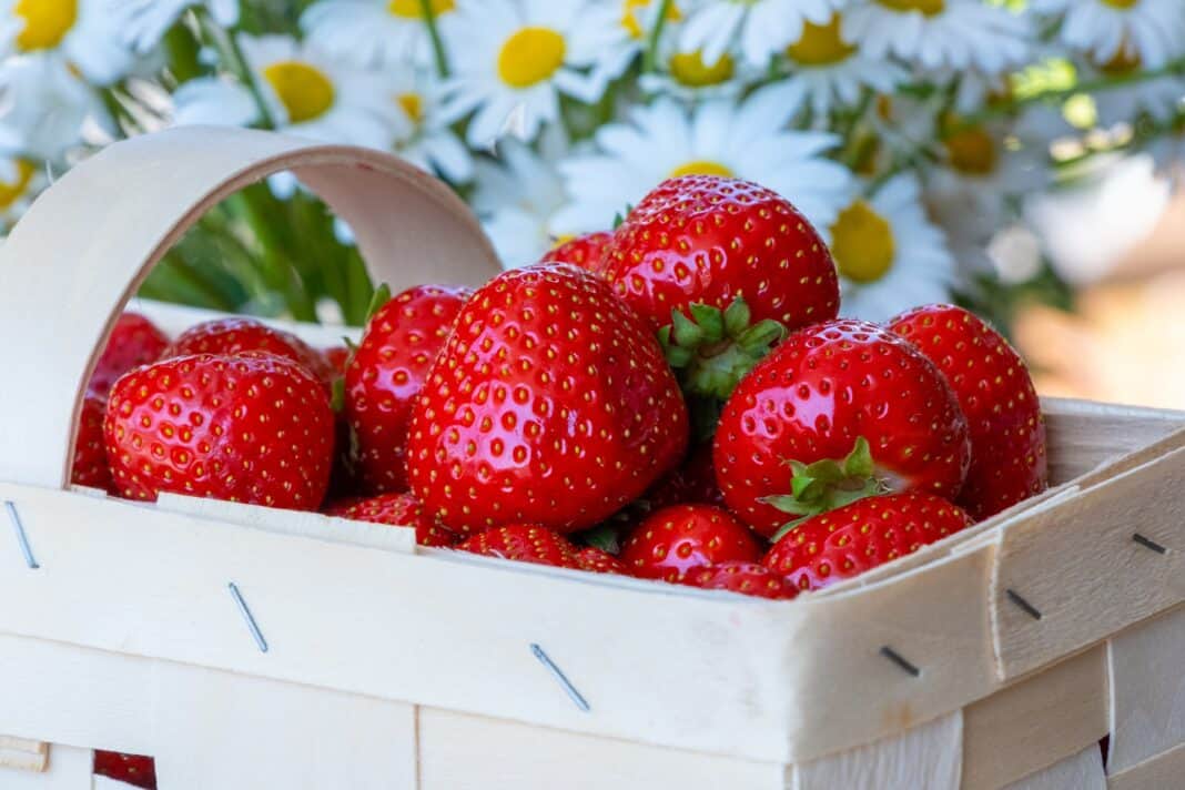 10 motive pentru o cură cu căpșuni