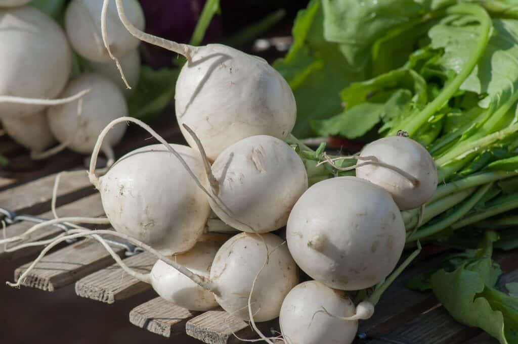 Why choose turnips