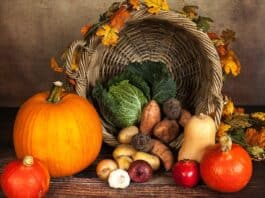 Take advantage of autumn diet