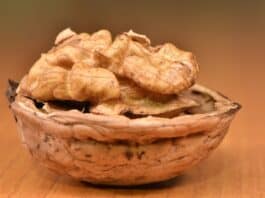 5 Benefits of walnut kernels