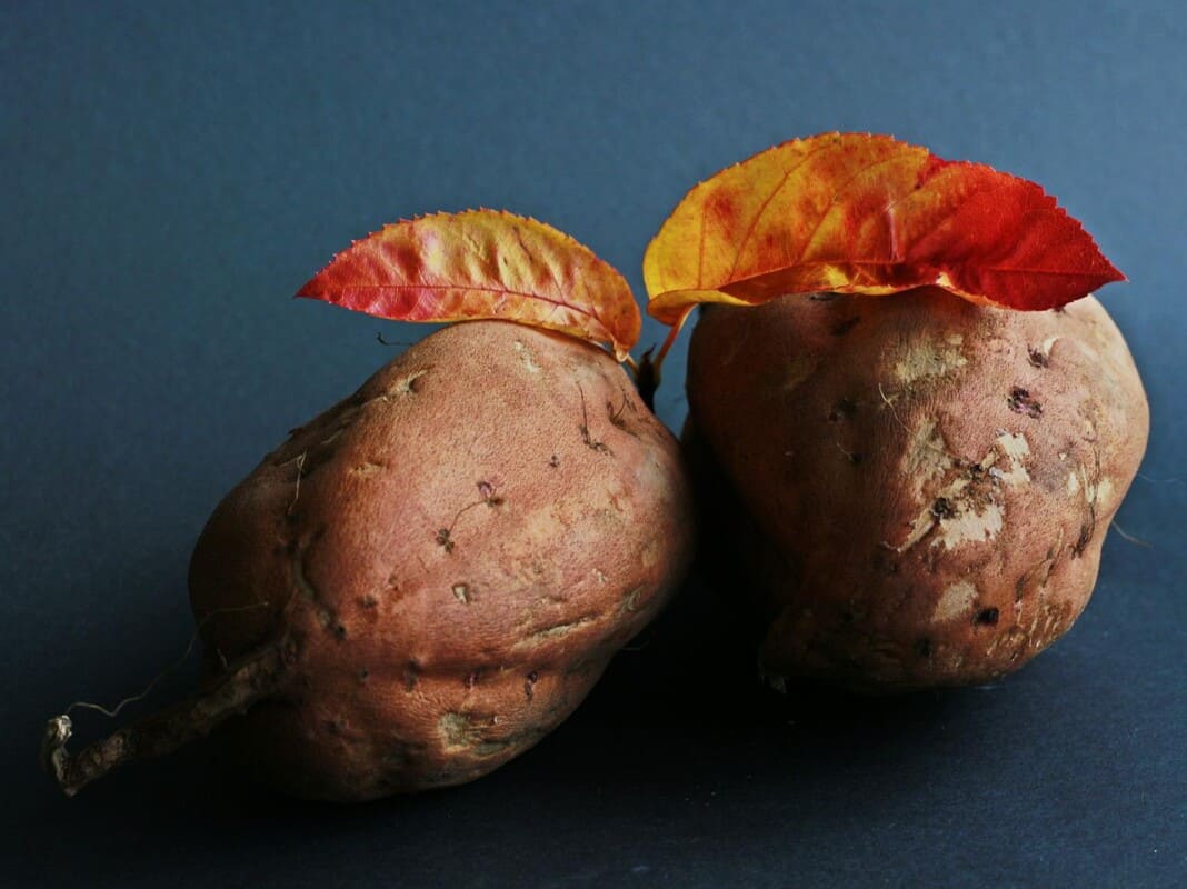 Recipe of sweet potatoes stuffed with red cabbage