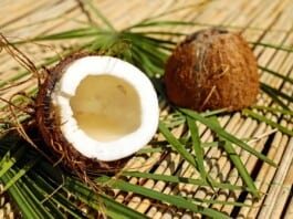 8 lucruri pe care nu le stiai despre nuca de cocos
